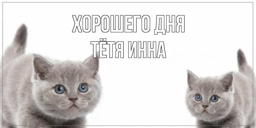 Открытка на каждый день с именем, Тётя-Инна Хорошего дня открытка с котами Прикольная открытка с пожеланием онлайн скачать бесплатно 
