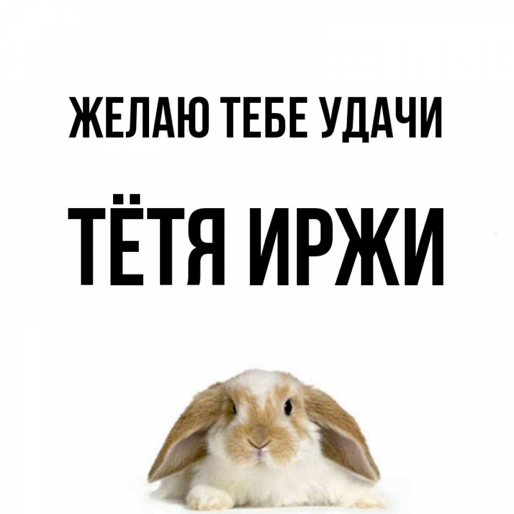 Открытка на каждый день с именем, Тётя-Иржи Желаю тебе удачи открытки с произвольным текстом который можно вставить в открытку и создать ее самостоятельно бесплатно онлайн Прикольная открытка с пожеланием онлайн скачать бесплатно 