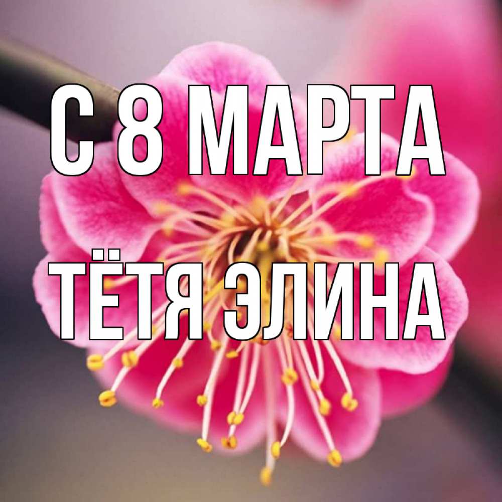 Открытка на каждый день с именем, Тётя-Элина С 8 МАРТА цветы Прикольная открытка с пожеланием онлайн скачать бесплатно 