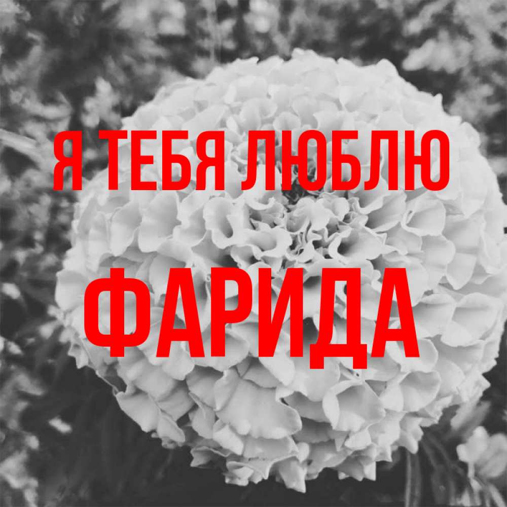 Открытка на каждый день с именем, Фарида Я тебя люблю подпись Прикольная открытка с пожеланием онлайн скачать бесплатно 