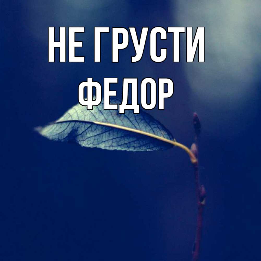 Открытка на каждый день с именем, Федор Не грусти растение Прикольная открытка с пожеланием онлайн скачать бесплатно 