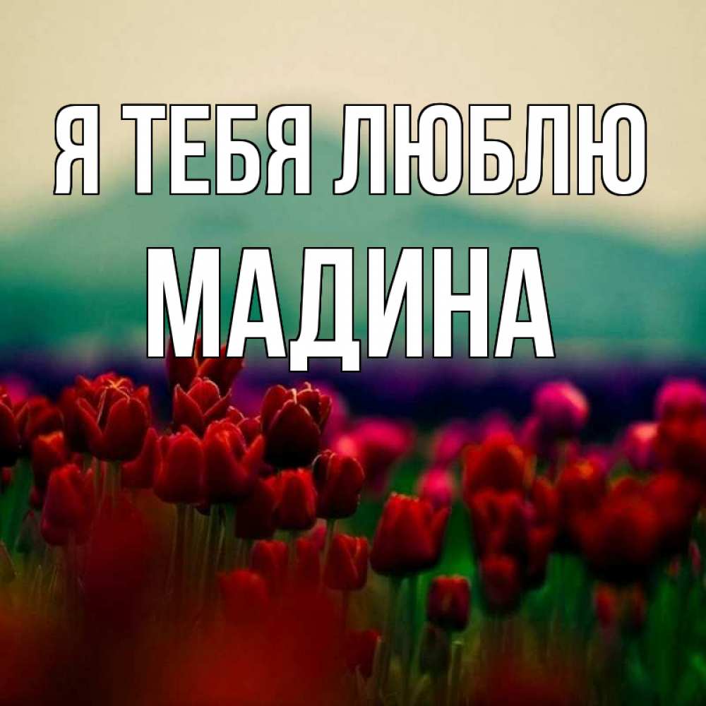 Картинки С Именем Мадина