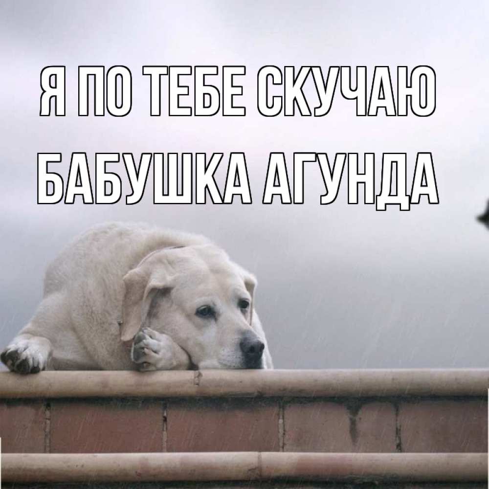 Открытка на каждый день с именем, Бабушка-Агунда Я по тебе скучаю ждет Прикольная открытка с пожеланием онлайн скачать бесплатно 
