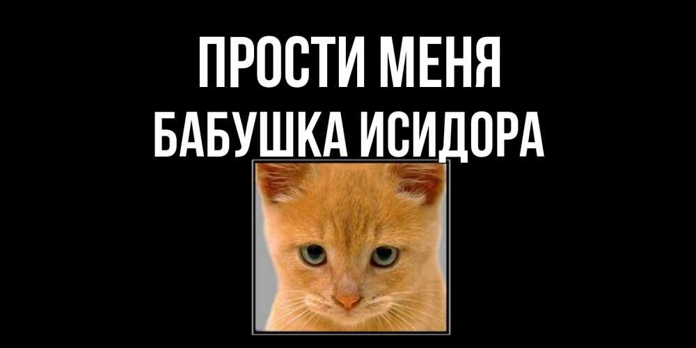 Открытка на каждый день с именем, Бабушка-Исидора Прости меня рыжий грустный кот просит прощения Прикольная открытка с пожеланием онлайн скачать бесплатно 
