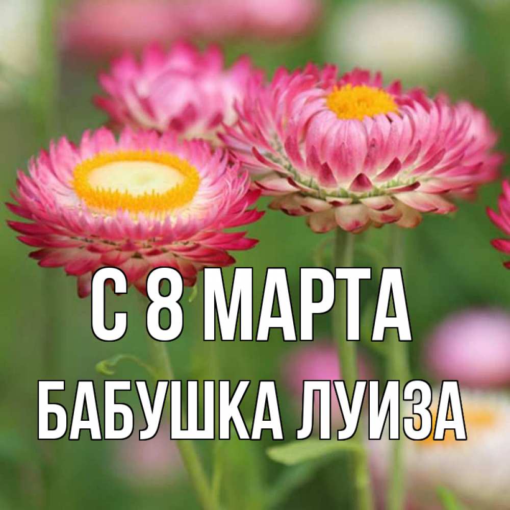 Открытка на каждый день с именем, Бабушка-Луиза С 8 МАРТА подарок на международный женский день Прикольная открытка с пожеланием онлайн скачать бесплатно 