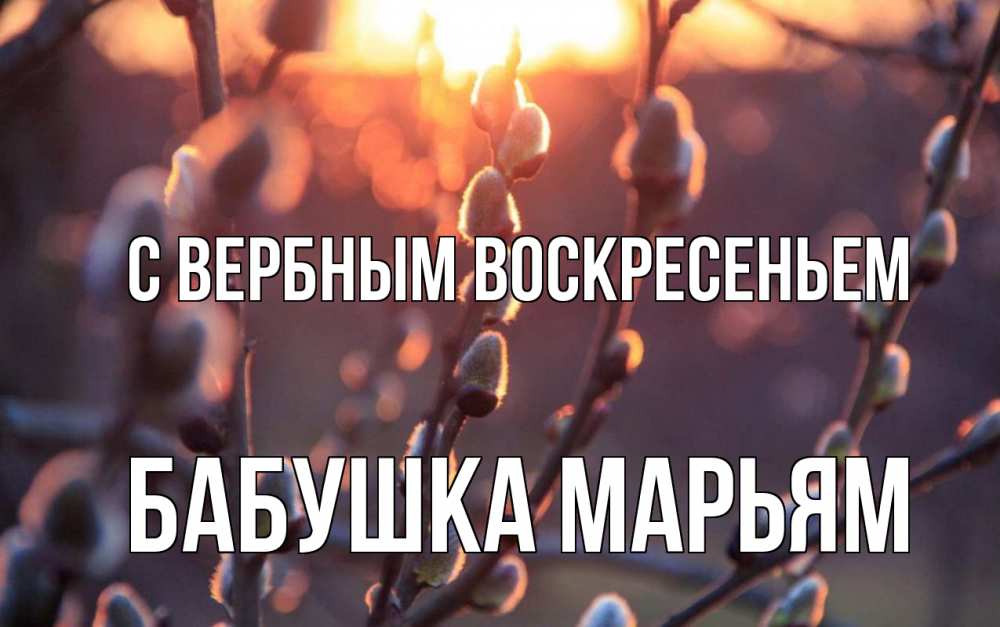 Открытка на каждый день с именем, Бабушка-Марьям С вербным воскресеньем верба Прикольная открытка с пожеланием онлайн скачать бесплатно 