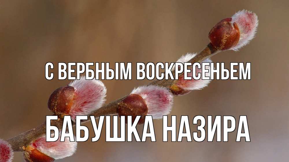 Открытка на каждый день с именем, Бабушка-Назира С вербным воскресеньем верба Прикольная открытка с пожеланием онлайн скачать бесплатно 