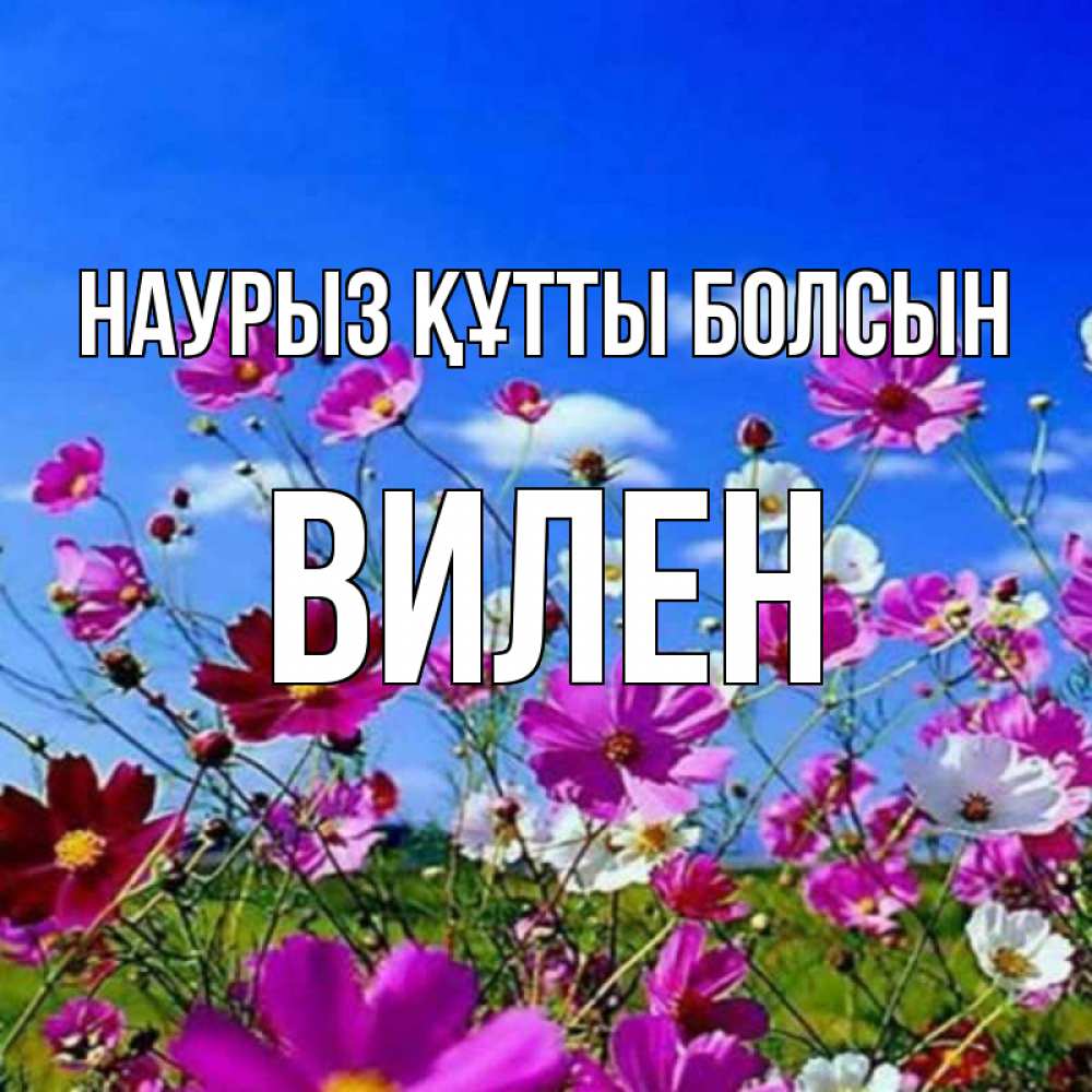 Открытка на каждый день с именем, Вилен Наурыз құтты болсын цветы Прикольная открытка с пожеланием онлайн скачать бесплатно 