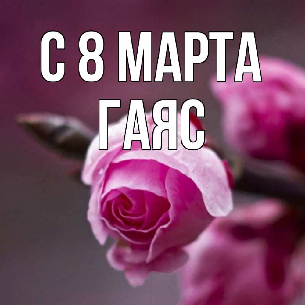 Открытка на каждый день с именем, Гаяс С 8 МАРТА весна Прикольная открытка с пожеланием онлайн скачать бесплатно 