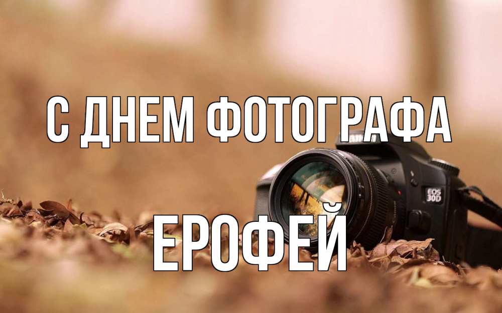 Открытка на каждый день с именем, Ерофей С днем фотографа с днем фотографа Прикольная открытка с пожеланием онлайн скачать бесплатно 