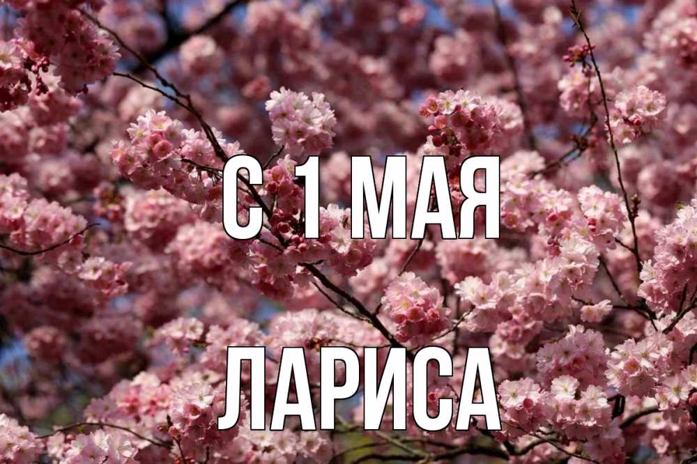 Открытка на каждый день с именем, Лариса С 1 мая С 1 мая Прикольная открытка с пожеланием онлайн скачать бесплатно 
