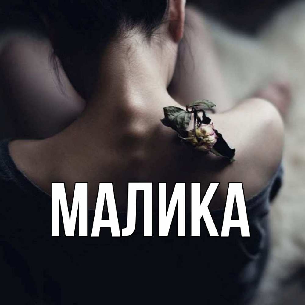 Открытка на каждый день с именем, Малика Главная засох цветок Прикольная открытка с пожеланием онлайн скачать бесплатно 
