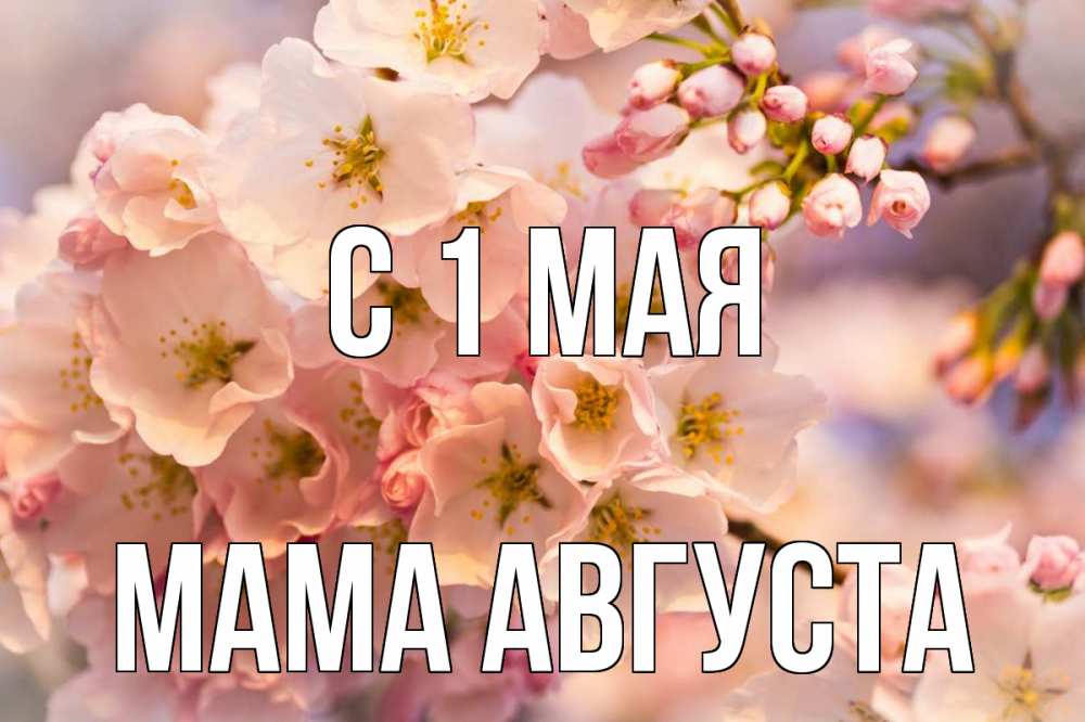 Открытка на каждый день с именем, Мама-Августа С 1 мая С 1 мая Прикольная открытка с пожеланием онлайн скачать бесплатно 