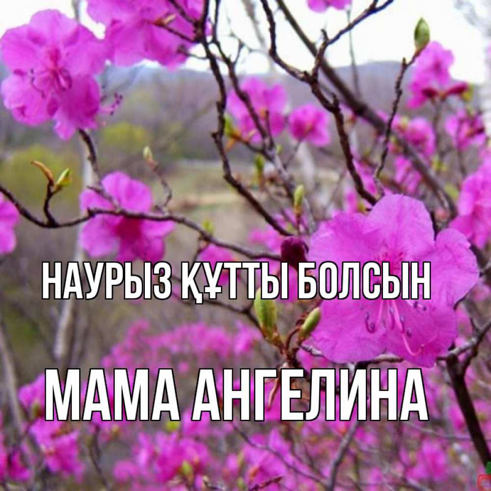 Открытка на каждый день с именем, Мама-Ангелина Наурыз құтты болсын наурыз мейрамы кутты болсын Прикольная открытка с пожеланием онлайн скачать бесплатно 