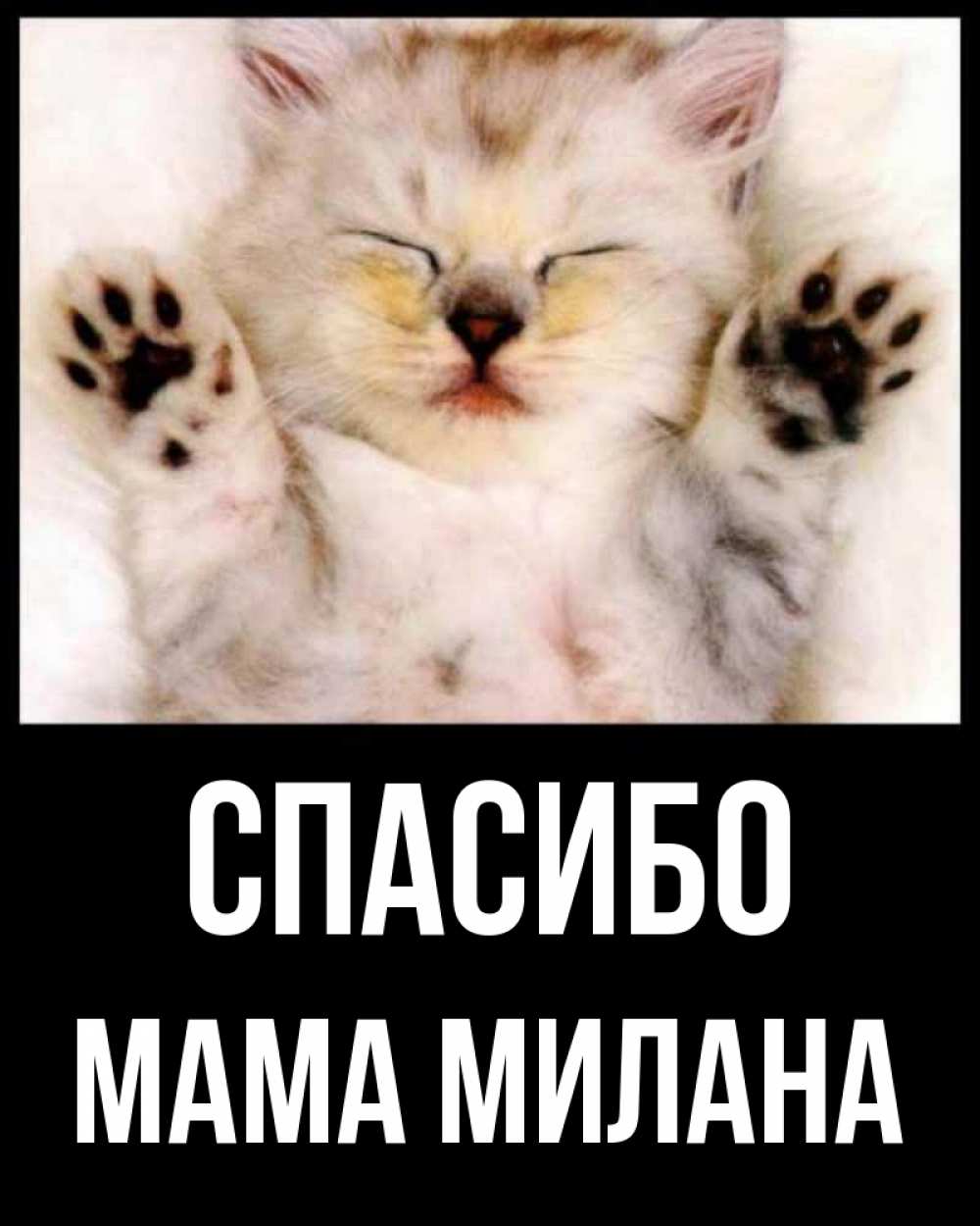 Открытка на каждый день с именем, Мама-Милана Спасибо маленький котенок Прикольная открытка с пожеланием онлайн скачать бесплатно 