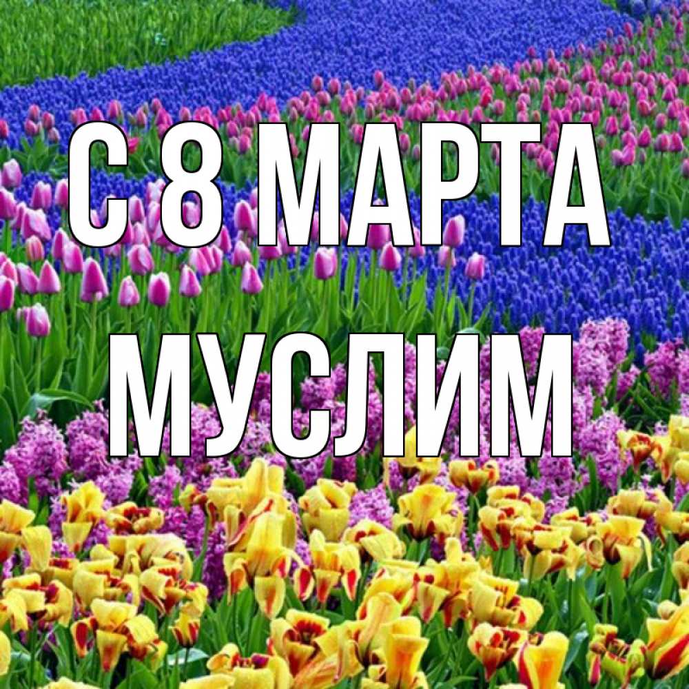 Открытка на каждый день с именем, Муслим С 8 марта цветы Прикольная открытка с пожеланием онлайн скачать бесплатно 