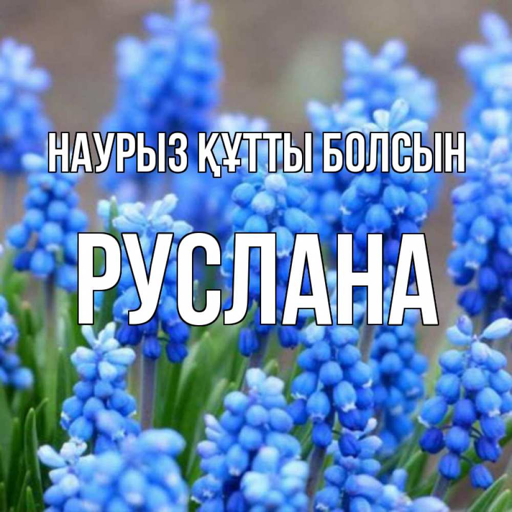 Открытка на каждый день с именем, Руслана Наурыз құтты болсын Поздравительная открытка для женщин с цветами на праздничную дату Прикольная открытка с пожеланием онлайн скачать бесплатно 