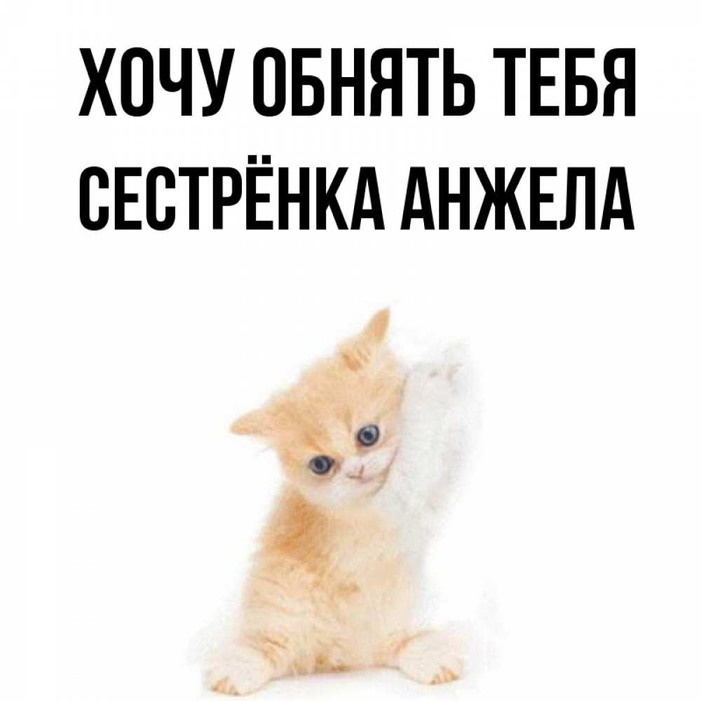 Открытка на каждый день с именем, Сестрёнка-Анжела Хочу обнять тебя я хочу очень скорее обнимаешек Прикольная открытка с пожеланием онлайн скачать бесплатно 