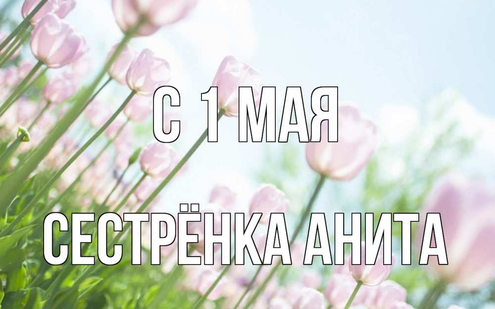 Открытка на каждый день с именем, Сестрёнка-Анита С 1 мая С 1 мая Прикольная открытка с пожеланием онлайн скачать бесплатно 