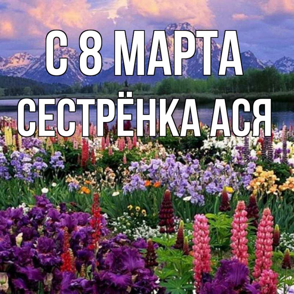 Открытка на каждый день с именем, Сестрёнка-Ася С 8 МАРТА международный женский день Прикольная открытка с пожеланием онлайн скачать бесплатно 