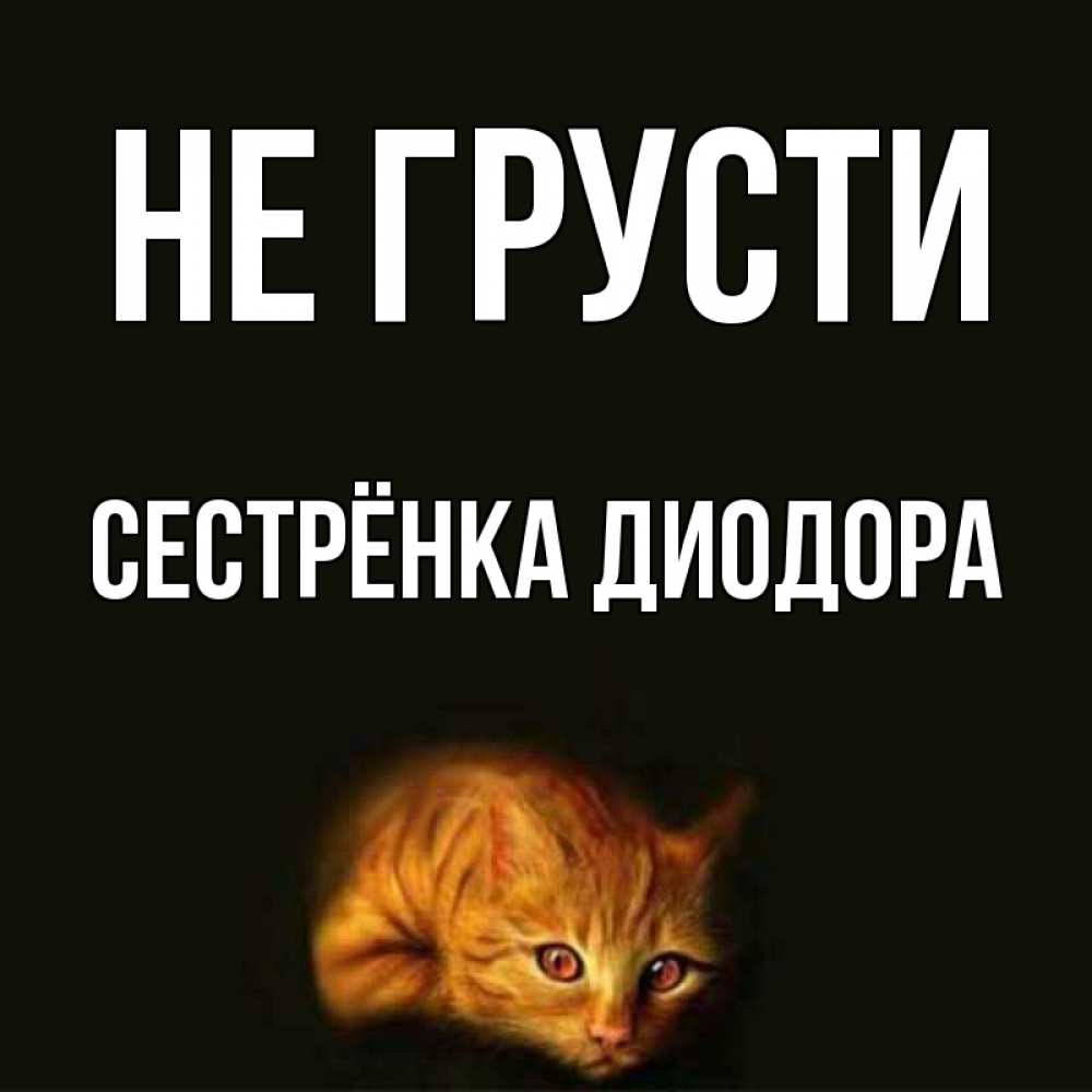 Открытка на каждый день с именем, Сестрёнка-Диодора Не грусти лежащий кот в темноте Прикольная открытка с пожеланием онлайн скачать бесплатно 