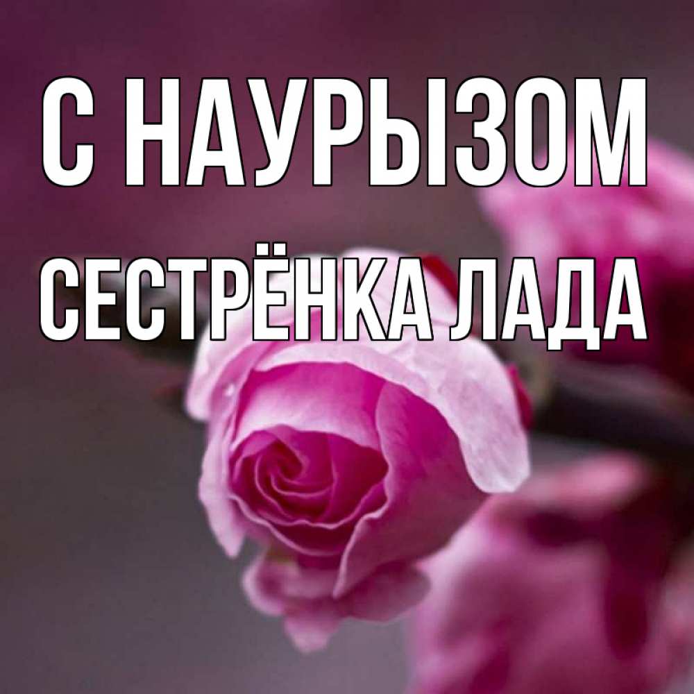 Открытка на каждый день с именем, Сестрёнка-Лада С наурызом весна Прикольная открытка с пожеланием онлайн скачать бесплатно 