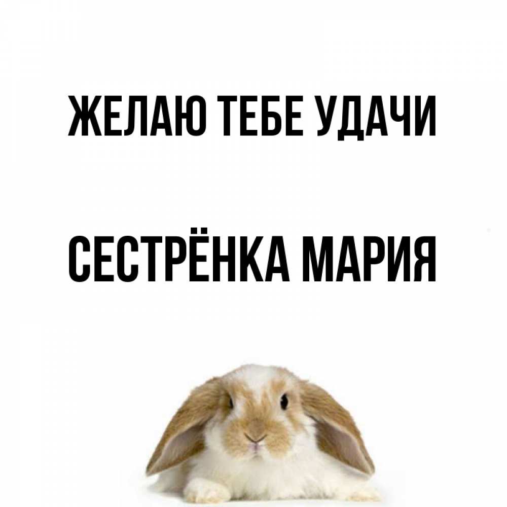 Открытка на каждый день с именем, Сестрёнка-Мария Желаю тебе удачи открытки с произвольным текстом который можно вставить в открытку и создать ее самостоятельно бесплатно онлайн Прикольная открытка с пожеланием онлайн скачать бесплатно 