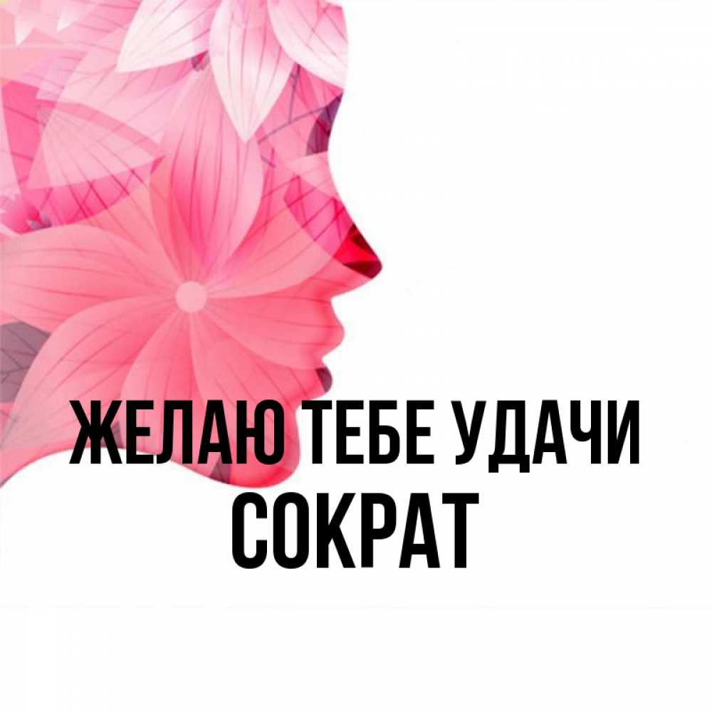 Открытка на каждый день с именем, Сократ Желаю тебе удачи на удачу Прикольная открытка с пожеланием онлайн скачать бесплатно 
