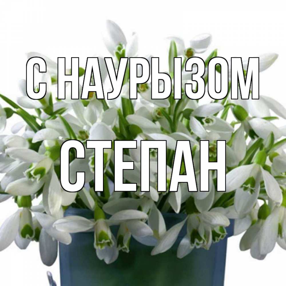 Открытка на каждый день с именем, Степан С наурызом цветы к наурызу новый год в Казахстане Прикольная открытка с пожеланием онлайн скачать бесплатно 