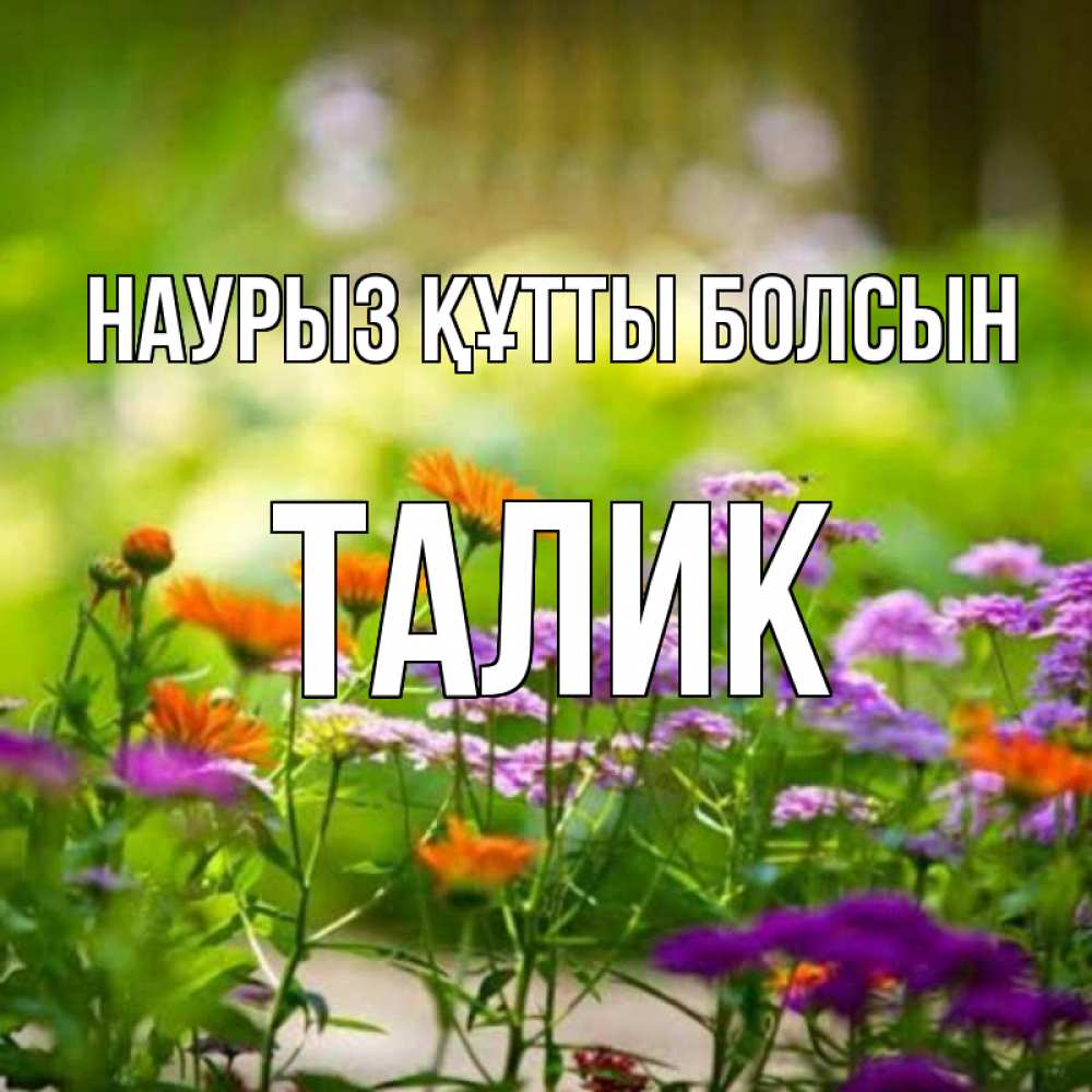 Открытка на каждый день с именем, Талик Наурыз құтты болсын цветы Прикольная открытка с пожеланием онлайн скачать бесплатно 