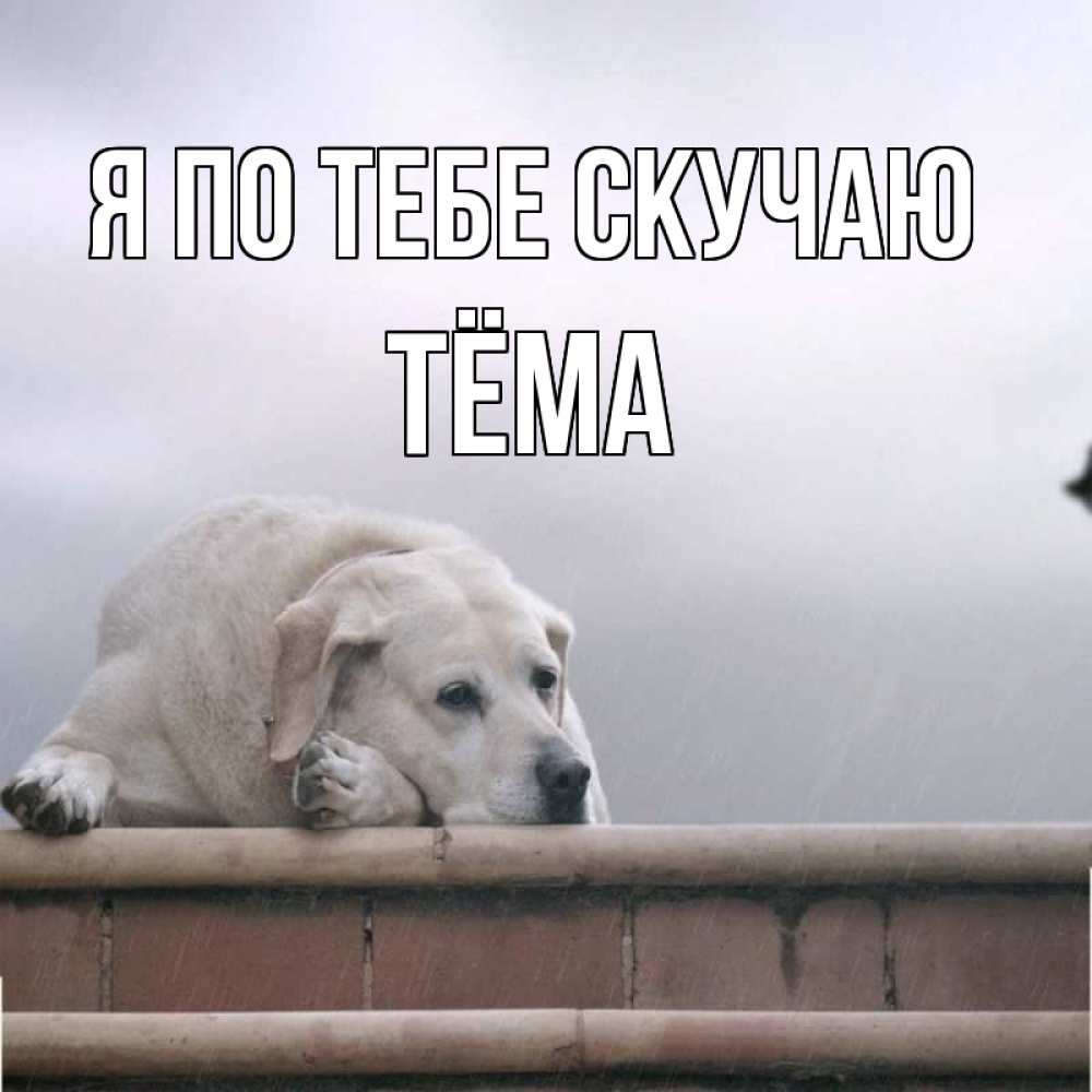 Открытка на каждый день с именем, Тёма Я по тебе скучаю ждет Прикольная открытка с пожеланием онлайн скачать бесплатно 