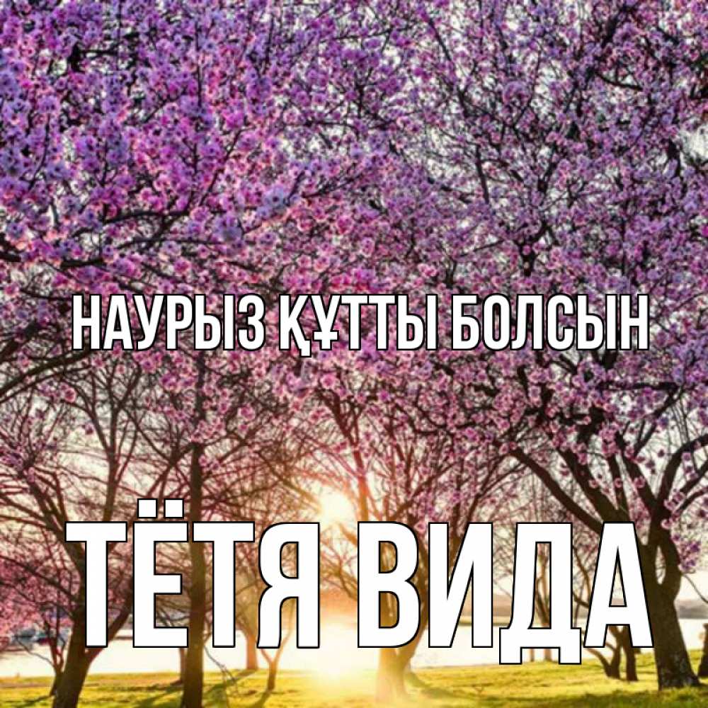 Открытка на каждый день с именем, Тётя-Вида Наурыз құтты болсын наурыз Прикольная открытка с пожеланием онлайн скачать бесплатно 