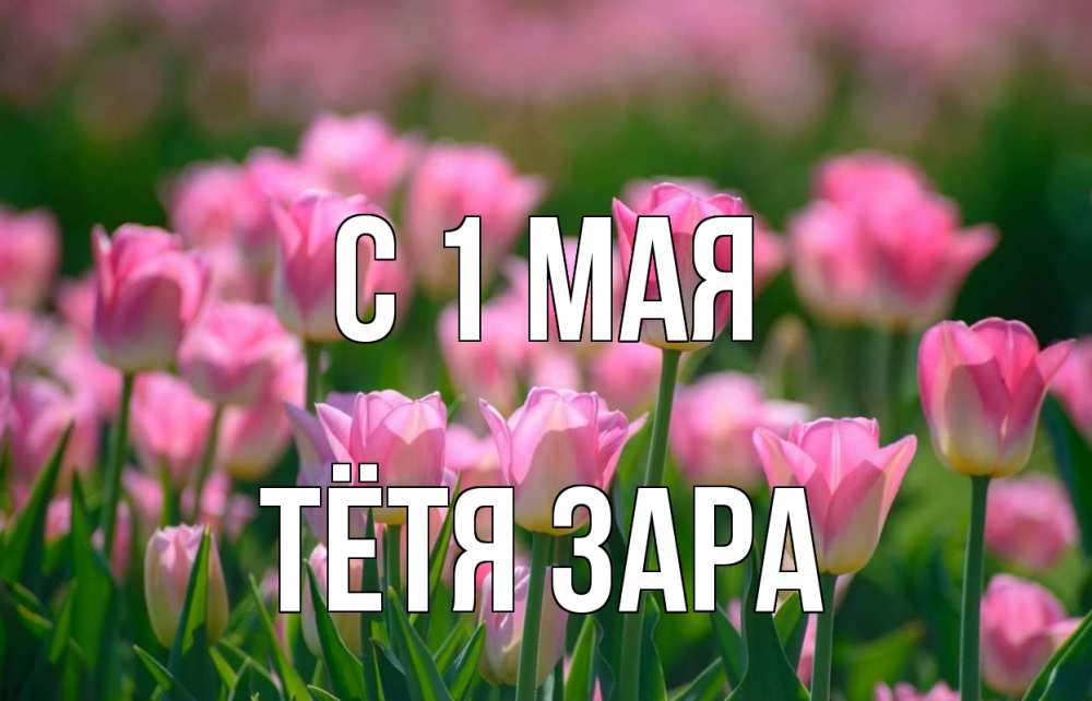 Открытка на каждый день с именем, Тётя-Зара С 1 мая С 1 мая Прикольная открытка с пожеланием онлайн скачать бесплатно 