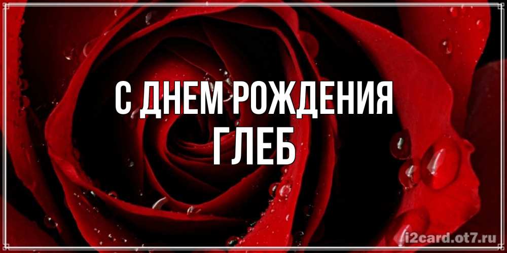 Открытка на каждый день с именем, глеб С днем рождения крупная бордовая роза Прикольная открытка с пожеланием онлайн скачать бесплатно 