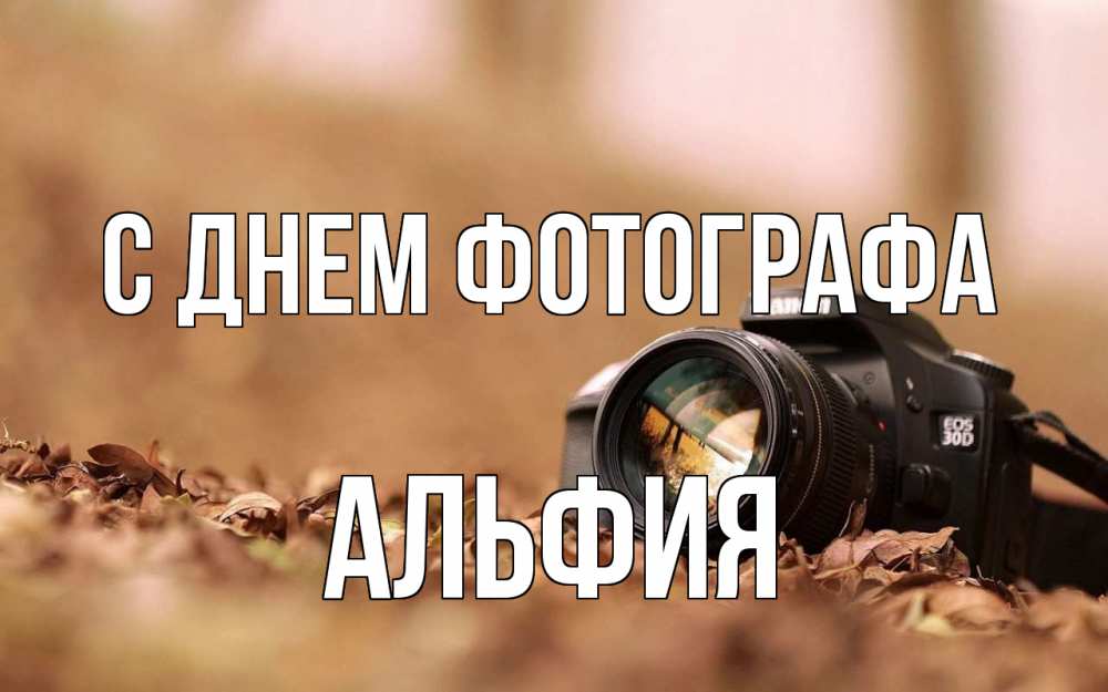 Открытка на каждый день с именем, Альфия С днем фотографа с днем фотографа Прикольная открытка с пожеланием онлайн скачать бесплатно 