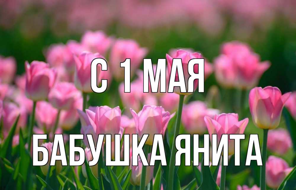 Открытка на каждый день с именем, Бабушка-Янита С 1 мая С 1 мая Прикольная открытка с пожеланием онлайн скачать бесплатно 