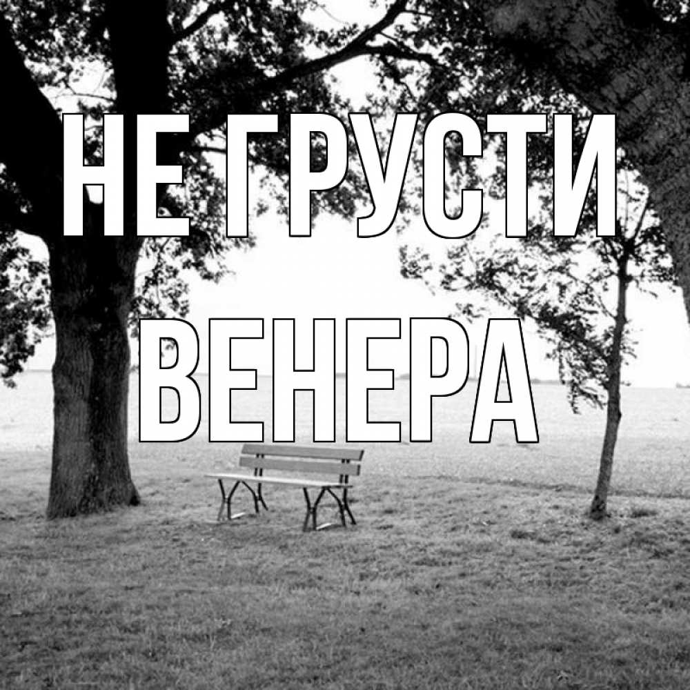 Открытка на каждый день с именем, Венера Не грусти мощное дерево Прикольная открытка с пожеланием онлайн скачать бесплатно 