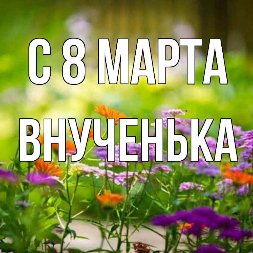 Открытка на каждый день с именем, Внученька С 8 МАРТА цветы Прикольная открытка с пожеланием онлайн скачать бесплатно 