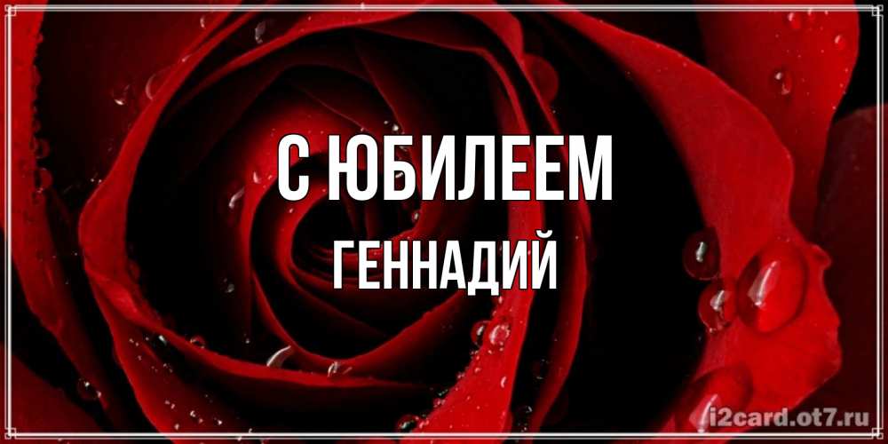 Открытка на каждый день с именем, Геннадий С юбилеем крупная бордовая роза Прикольная открытка с пожеланием онлайн скачать бесплатно 
