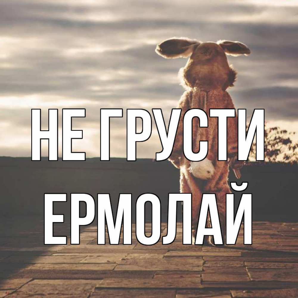 Открытка на каждый день с именем, Ермолай Не грусти со спины Прикольная открытка с пожеланием онлайн скачать бесплатно 