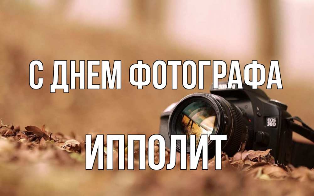 Открытка на каждый день с именем, Ипполит С днем фотографа с днем фотографа Прикольная открытка с пожеланием онлайн скачать бесплатно 