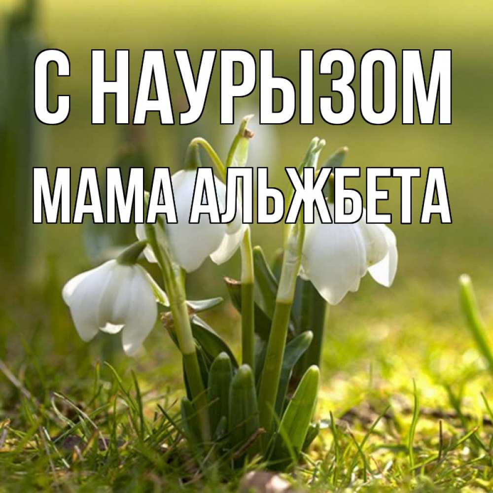 Открытка на каждый день с именем, Мама-Альжбета С наурызом ранние цветы 2 Прикольная открытка с пожеланием онлайн скачать бесплатно 