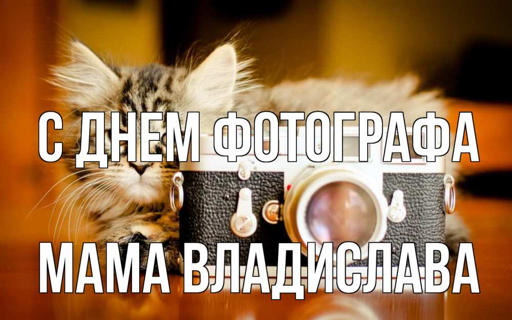 Открытка на каждый день с именем, Мама-Владислава С днем фотографа с днем фотографа Прикольная открытка с пожеланием онлайн скачать бесплатно 