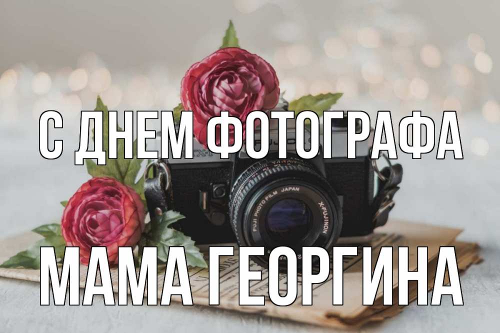 Открытка на каждый день с именем, Мама-Георгина С днем фотографа с днем фотографа Прикольная открытка с пожеланием онлайн скачать бесплатно 