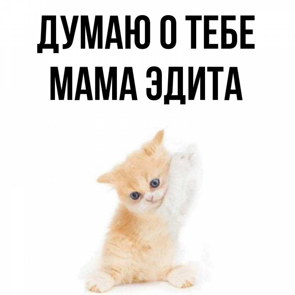 Открытка на каждый день с именем, Мама-Эдита Думаю о тебе зверушки и милота Прикольная открытка с пожеланием онлайн скачать бесплатно 