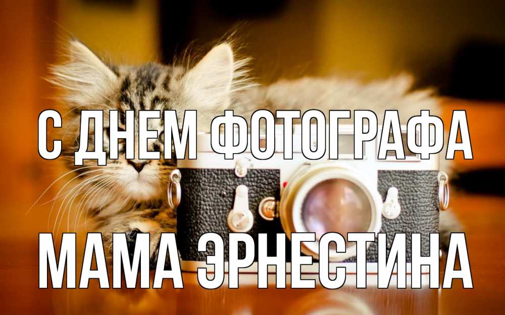 Открытка на каждый день с именем, Мама-Эрнестина С днем фотографа с днем фотографа Прикольная открытка с пожеланием онлайн скачать бесплатно 
