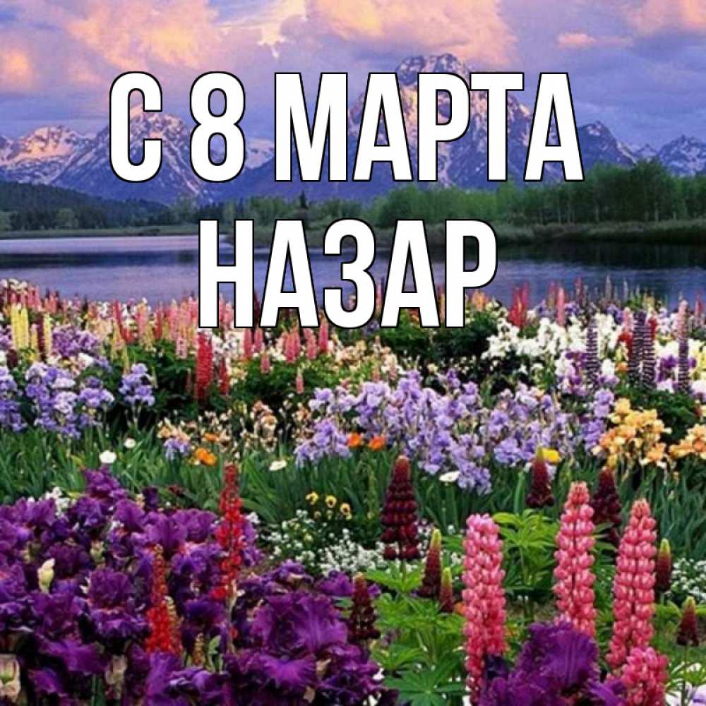Открытка на каждый день с именем, Назар С 8 МАРТА международный женский день Прикольная открытка с пожеланием онлайн скачать бесплатно 