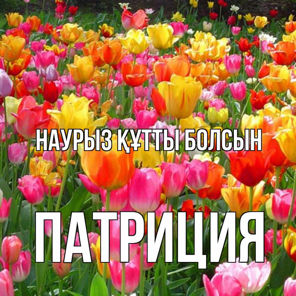 Открытка на каждый день с именем, Патриция Наурыз құтты болсын на наурыз  ура ура Прикольная открытка с пожеланием онлайн скачать бесплатно 