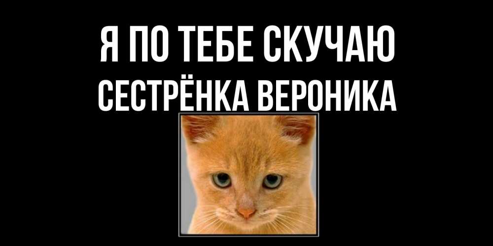 Открытка на каждый день с именем, Сестрёнка-Вероника Я по тебе скучаю открытки рыжий котенок скучает по тебе Прикольная открытка с пожеланием онлайн скачать бесплатно 
