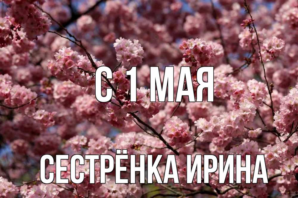 Открытка на каждый день с именем, Сестрёнка-Ирина С 1 мая С 1 мая Прикольная открытка с пожеланием онлайн скачать бесплатно 
